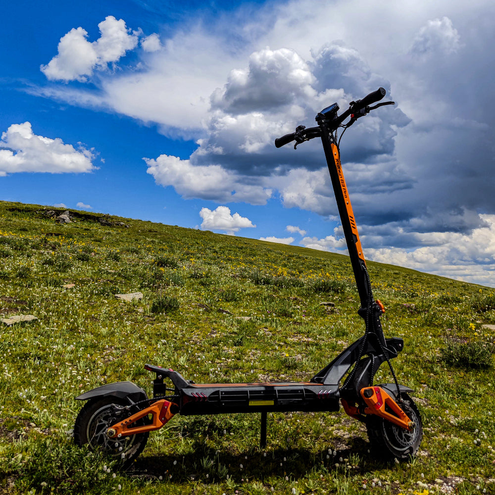 Exploring Dual-Motor Electric Scooters